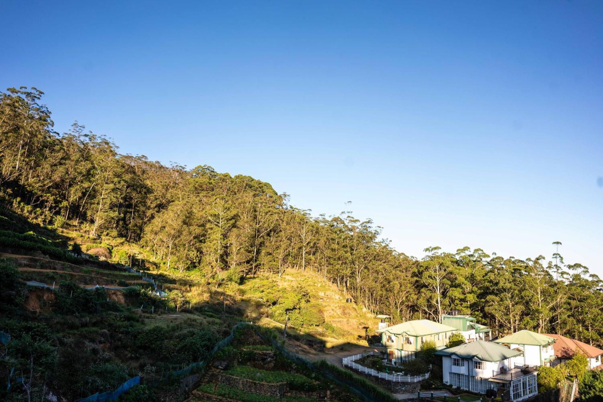 Forest View Lodge Nuwara Eliya Zewnętrze zdjęcie